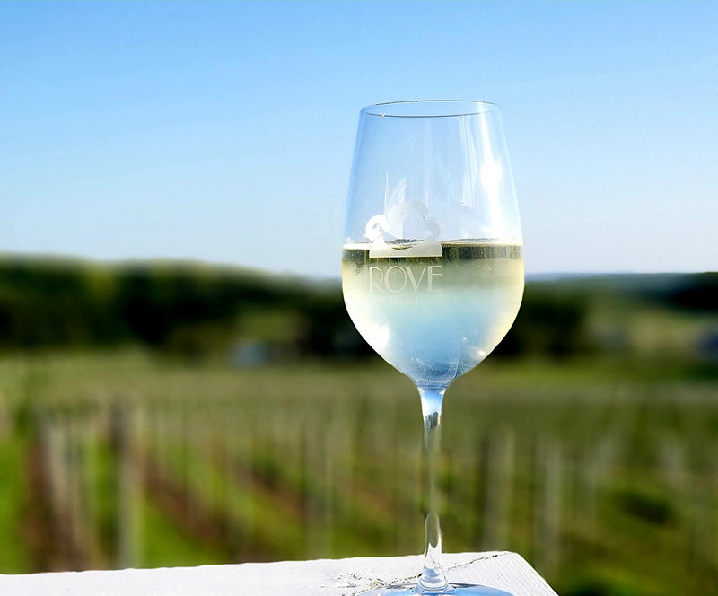 traverse city wine tours private